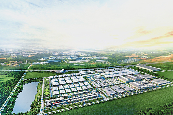 Chongqing Sunset Serenity Co.,Ltd