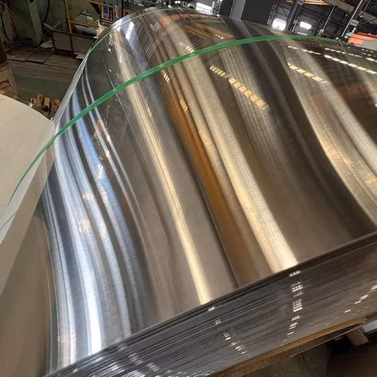AISI 2b 8K TP304L 316L 904L 304 1.4301 316 310S 321 430 2205 2507 Cold Rolled Hot Rolled Stainless Steel/Aluminum/Carbon/Galvanized/Copper Strip